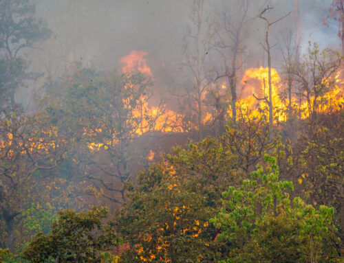 Snapchat’s $5M Aid for Los Angeles Wildfire Relief